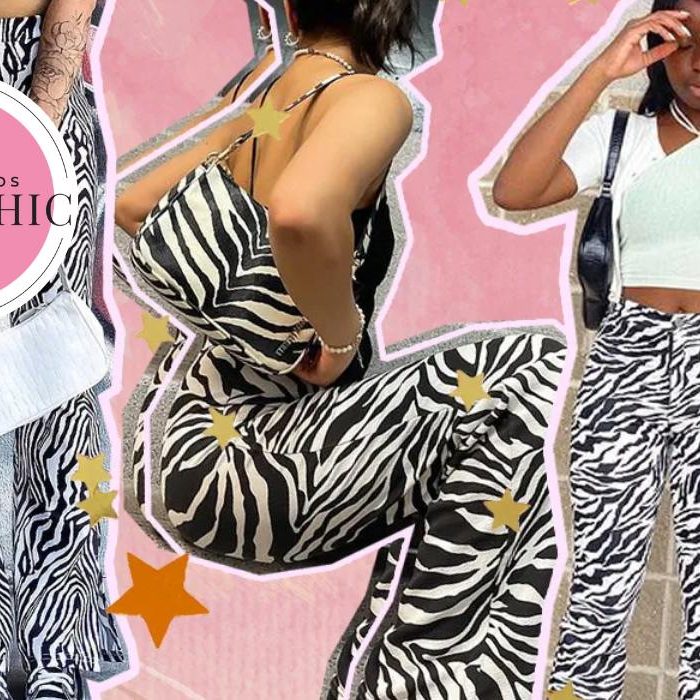 Estampa de zebra - Achadinhos Bohochic