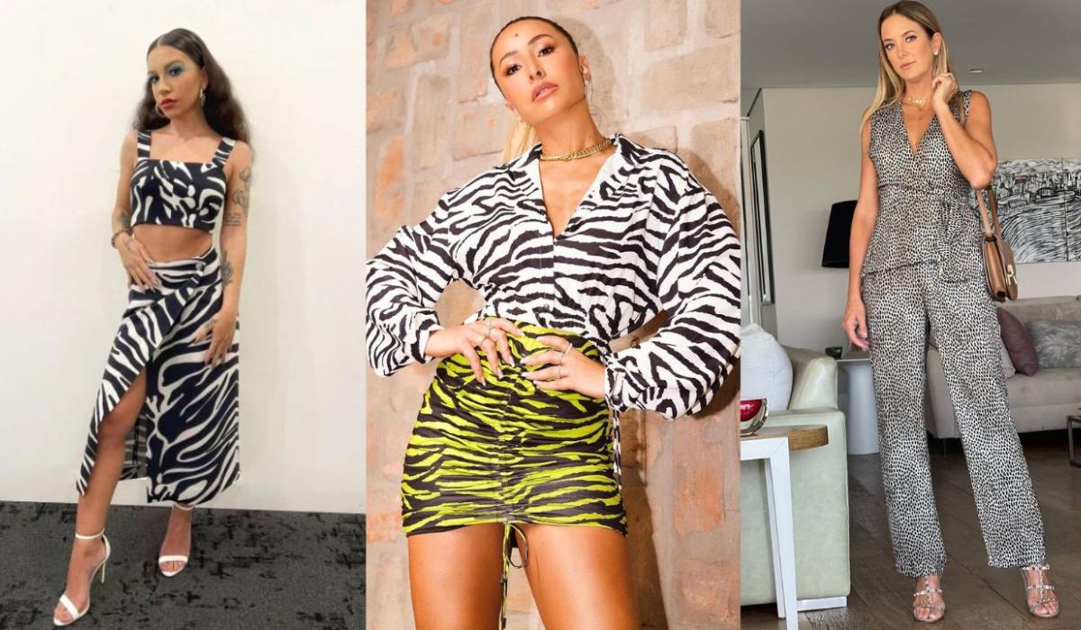 Estampa de zebra - Achadinhos Bohochic
